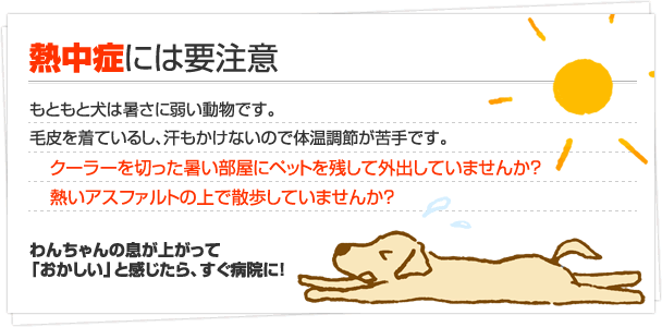�M���ǂɂ͗v����